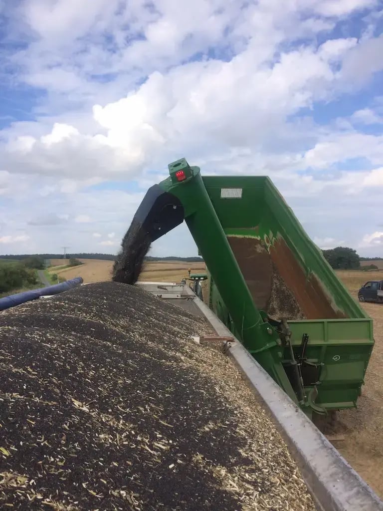 Agrimont HP 400 neue RW Stronga Raps (4)