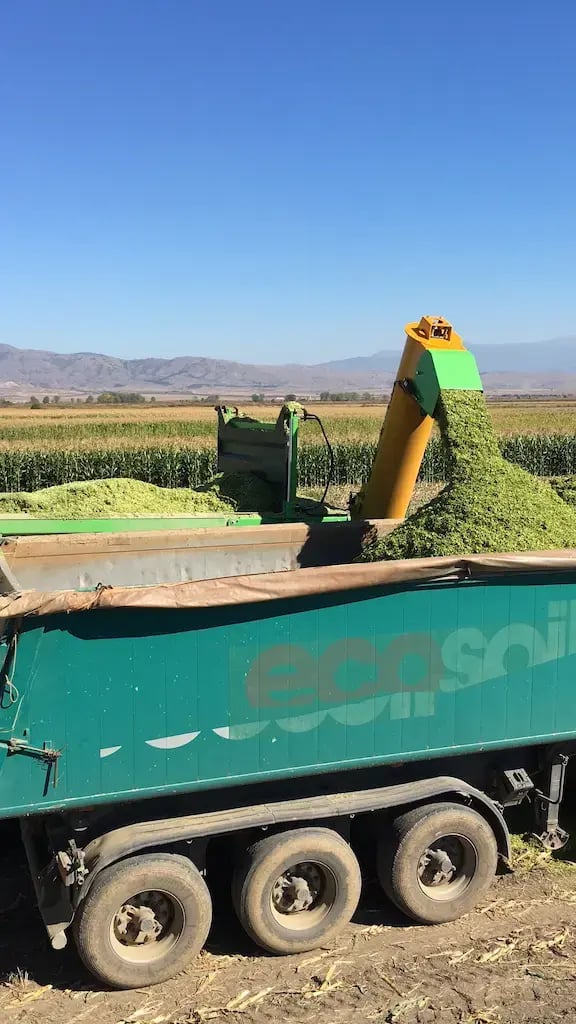 HPA 500 Silage (2) (1)
